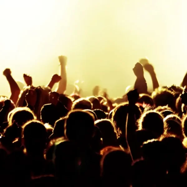 Affordable Website Designers in Edinburgh banner