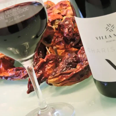 La Villa Sepia website design image