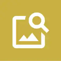 Pro Images - from +£60